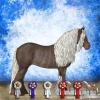 Horse Color:Liver Chestnut Mushroom Rabicano 