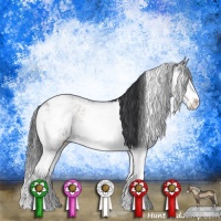 Horse Color:Blue Onyx Mushroom Sabino Rabicano 