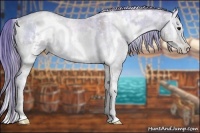Horse Color:Plaid  White Spotted Brown Ice Pearl Onyx