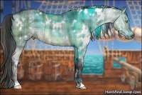 Horse Color:Plaid  White Spotted Brown Dun Rabicano