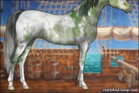 Horse Color:Plaid  White Spotted Brown Dun 