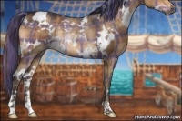 Horse Color:Painted Plaid  White Spotted Brown Dun Rabicano 