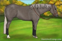 Horse Color:Silver Black Frame