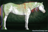 Horse Color:Painted Plaid  White Spotted Liver Red Dun Splash 