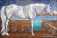 Horse Color:Plaid  White Spotted Silver Buckskin Chinchilla Pearl Onyx Tobiano 