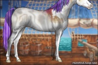 Horse Color:Painted White Spotted Silver Buckskin Onyx Sabino Splash 