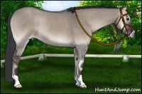 Horse Color:Grullo Roan Onyx Rabicano