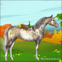 Horse Color:White Spotted Chocolate Silver Brown Onyx Brindle 
