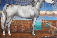 Horse Color:White Spotted Chocolate Silver Grullo Chinchilla Sabino