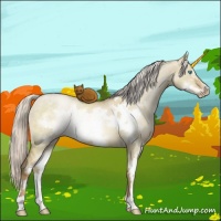 Horse Color:Silver Smoky Grullo Roan Pearl Sabino Frame Brindle