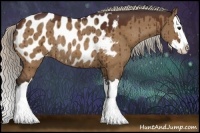 Horse Color:Silver Bay Dun Sabino Splash Appaloosa Rabicano 