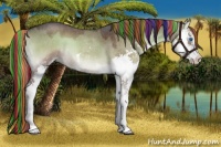 Horse Color:Painted Liver Red Dun Roan Onyx Sabino Splash 