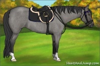 Horse Color:Grullo Roan 