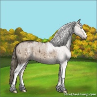 Horse Color:White Spotted Liver Red Dun Roan