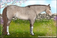 Horse Color:White Spotted Liver Red Dun Roan Rabicano