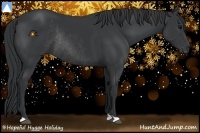 Horse Color:Black Rabicano 