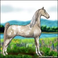 Horse Color:White Spotted Chocolate Palomino Ice Pearl Sabino