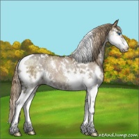Horse Color:White Spotted Liver Red Dun Splash Rabicano