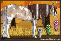 Horse Color:White Spotted Chocolate Buckskin Ice Mushroom Sabino Splash 