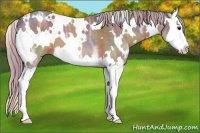 Horse Color:Nacre White Spotted Silver Brown Ice Splash 