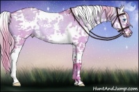 Horse Color:Watercolor White Spotted Chocolate Palomino Dun Splash Rabicano