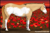 Horse Color:Gold Champagne Splash Frame 