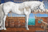 Horse Color:White Spotted Liver Red Dun Sabino Splash 