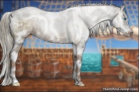 Horse Color:White Spotted Liver Red Dun Ice Sabino Splash Rabicano 