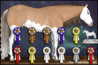 Horse Color:Gray Perlino Splash Rabicano 