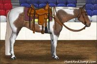 Horse Color:Silver Brown Tobiano 