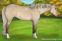 Horse Color:Silver Brown Dun 