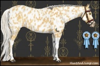 Horse Color:Palomino Near Leopard  and Palomino Splash Near Leopard 