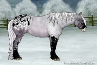 Horse Color:Watercolor Silver Brown Ice Roan Sabino Appaloosa 