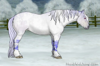 Horse Color:Watercolor White Spotted Silver Bay Chinchilla Ice Dun 