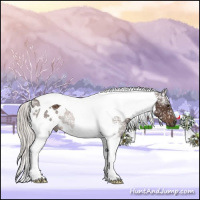 Horse Color:White Spotted Silver Brown Ice Tobiano 