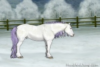 Horse Color:Painted Watercolor White Spotted Chocolate Silver Brown Chinchilla Ice Onyx