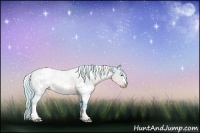 Horse Color:Watercolor White Spotted Liver Chestnut Ice