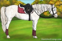 Horse Color:Perlino Sabino Appaloosa  and Perlino Sabino Appaloosa 