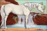 Horse Color:Cremello