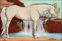 Horse Color:Cremello 