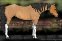 Horse Color:Bay Roan Tobiano 