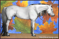 Horse Color:Gray Smoky Black Sabino Fewspot 