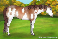 Horse Color:Chocolate Bay Splash