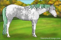 Horse Color:Painted Silver Classic Champagne Chinchilla Ice Splash Tobiano 