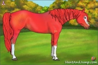 Horse Color:Watercolor White Spotted Liver Chestnut 