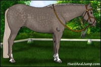 Horse Color:Silver Black Sabino