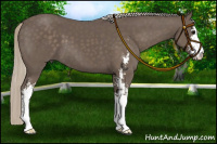 Horse Color:Silver Black Sabino 