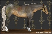 Horse Color:Silver Smoky Black Varnish 