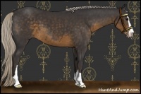 Horse Color:Silver Smoky Black Sabino 