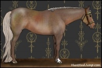 Horse Color:Silver Black 
